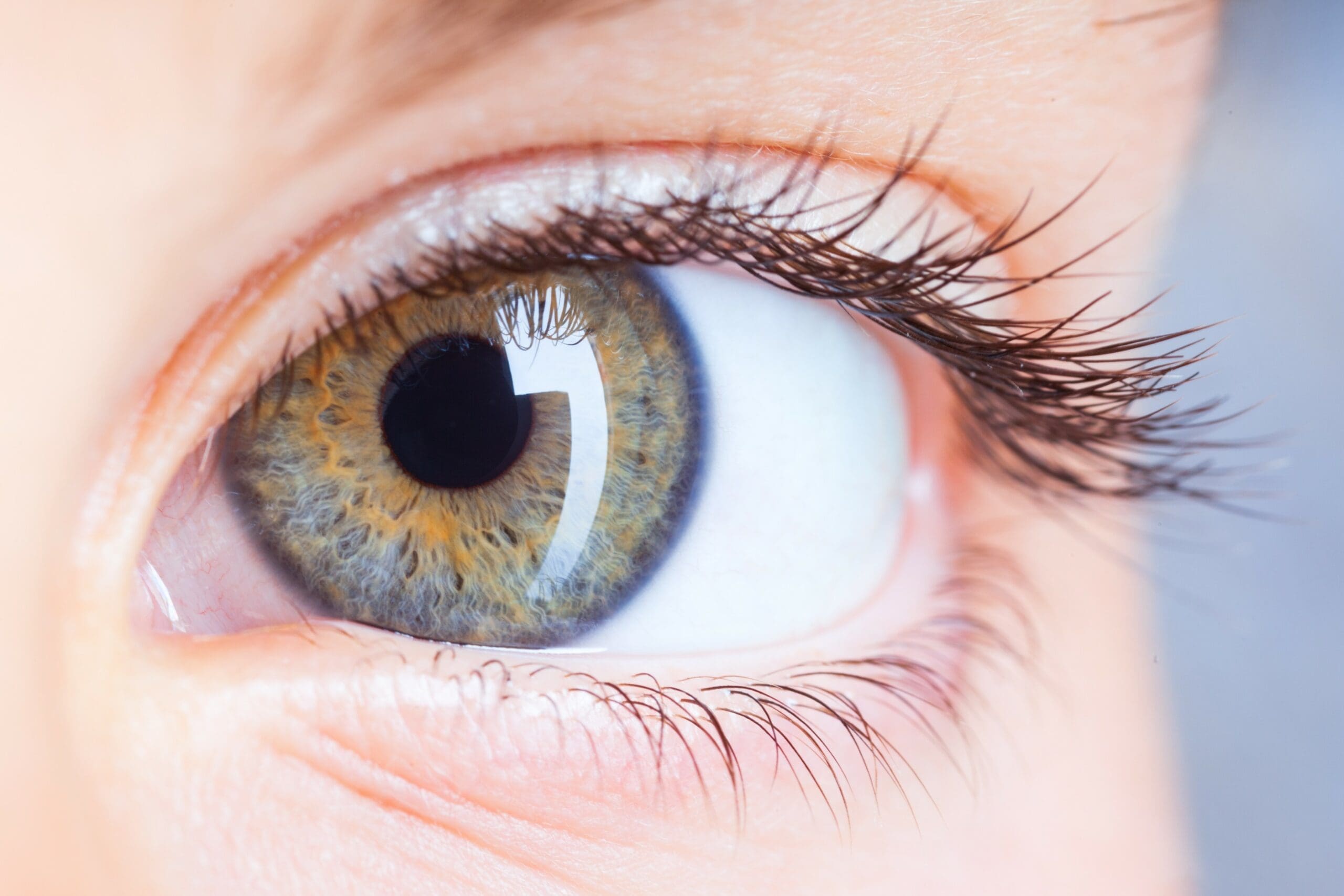Corneal injuries Corneal injuries