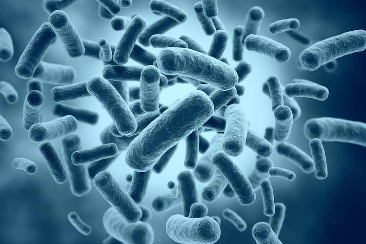Bacteria high resolution 3d render