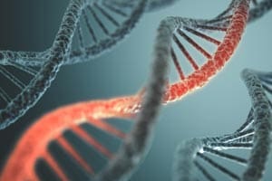 dna_300