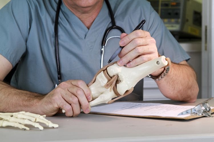 knee_ligaments_750