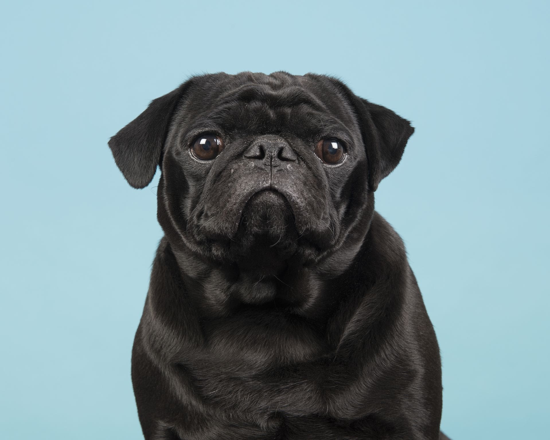 AdobeStock_185489876