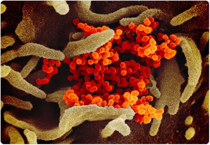 COVID-19 pandemic has natural origins