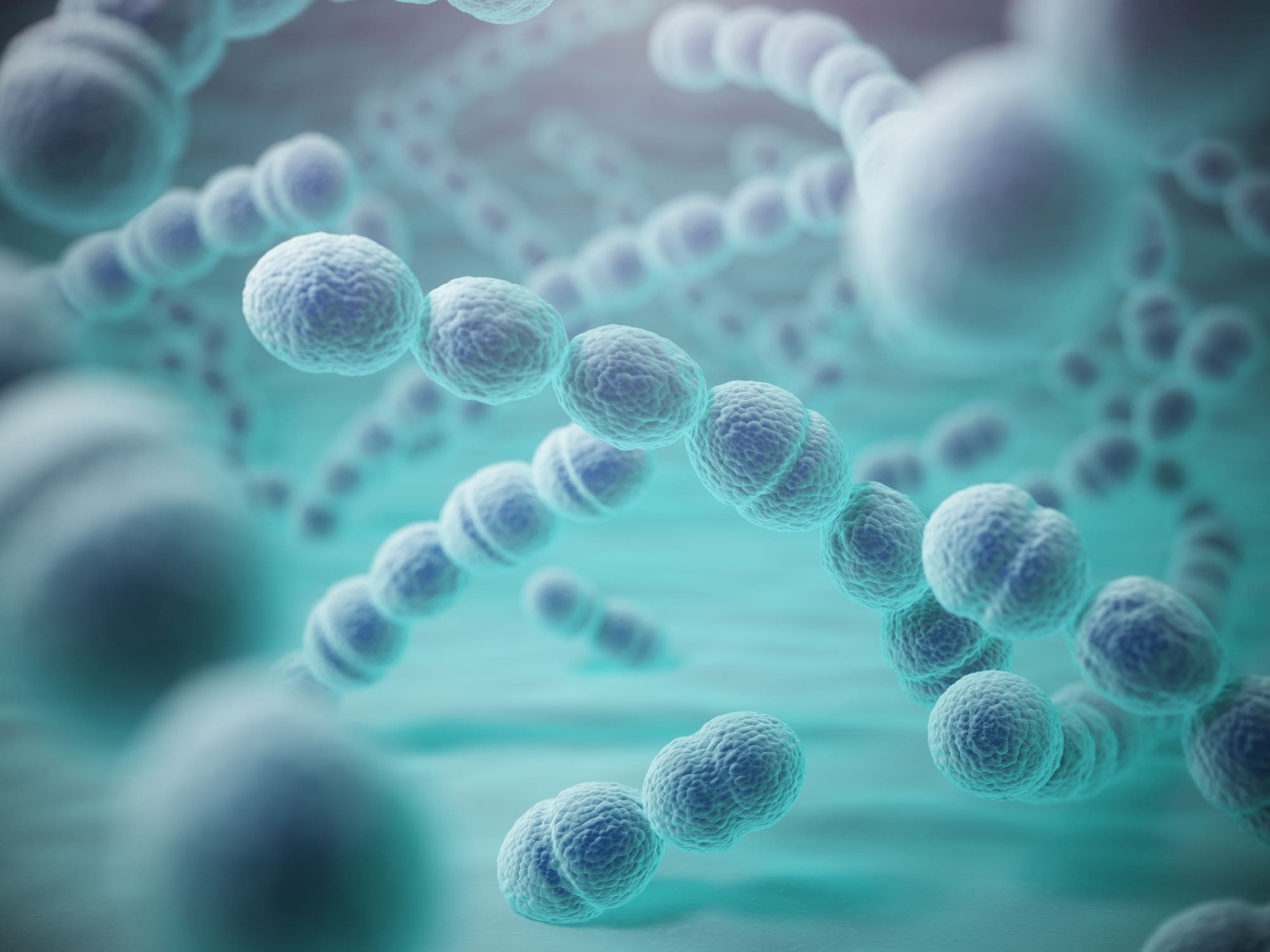 Pneumococcal disease