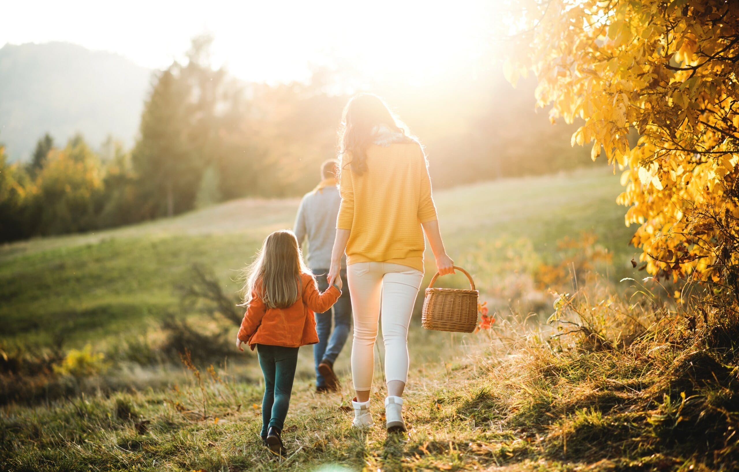 Can a walk in the park improve your mood?