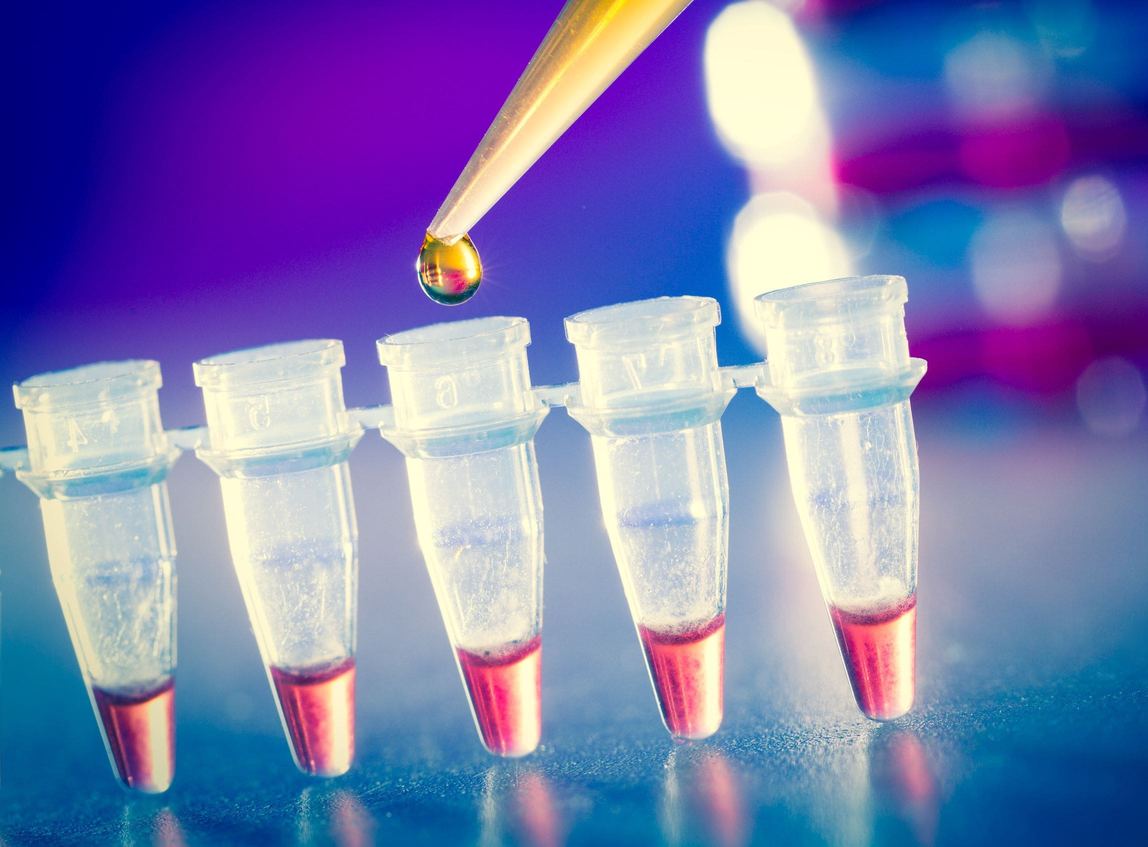 What Is Next Generation Sequencing? – Dr. Jenny Cook