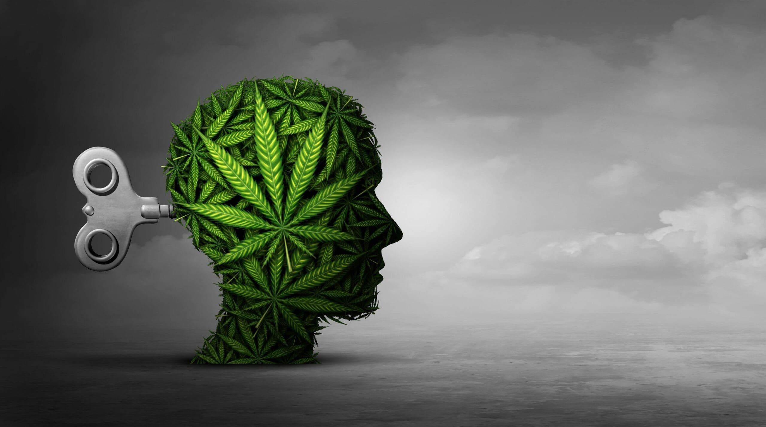 Cannabis psychosis