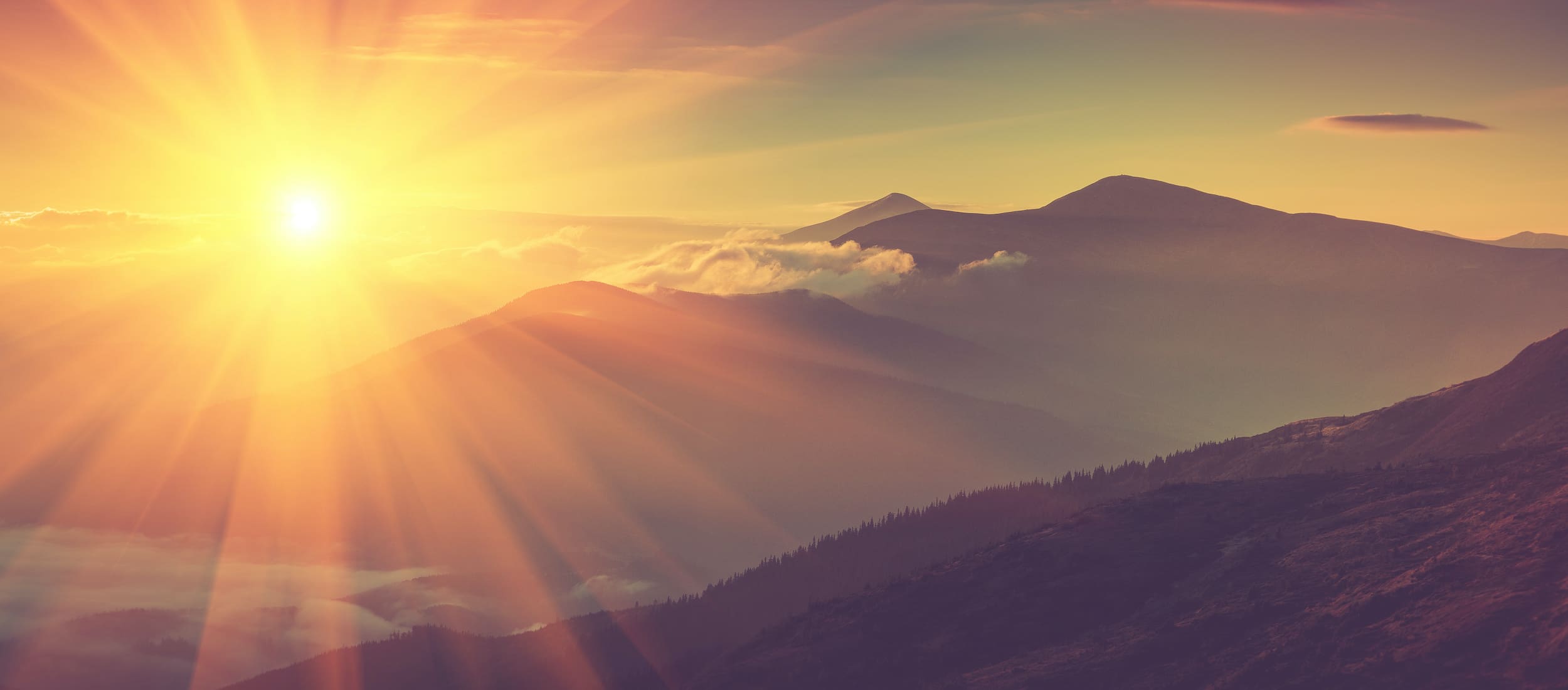 Vitamin D deficiency: What is the treatment?