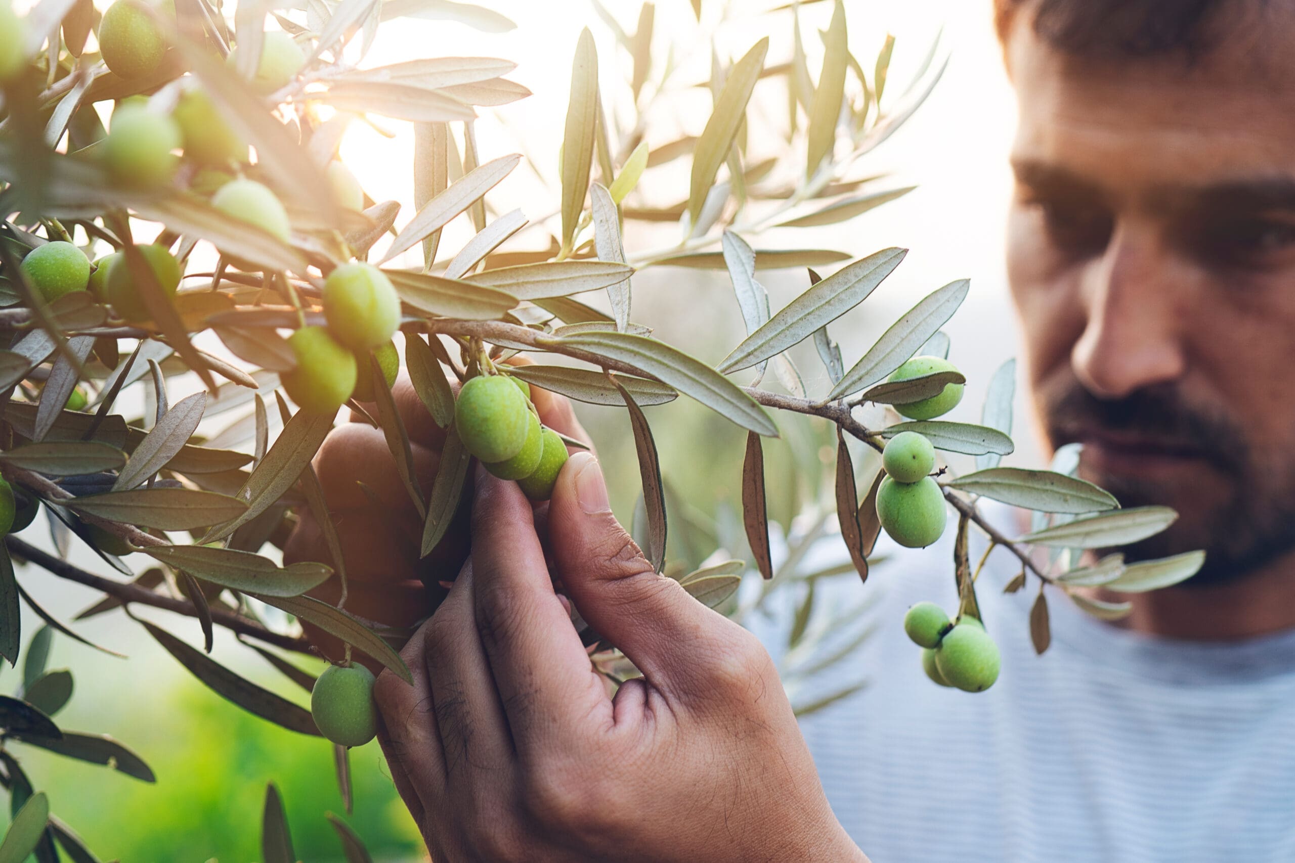 The Mediterranean Diet and Depression in Young Men