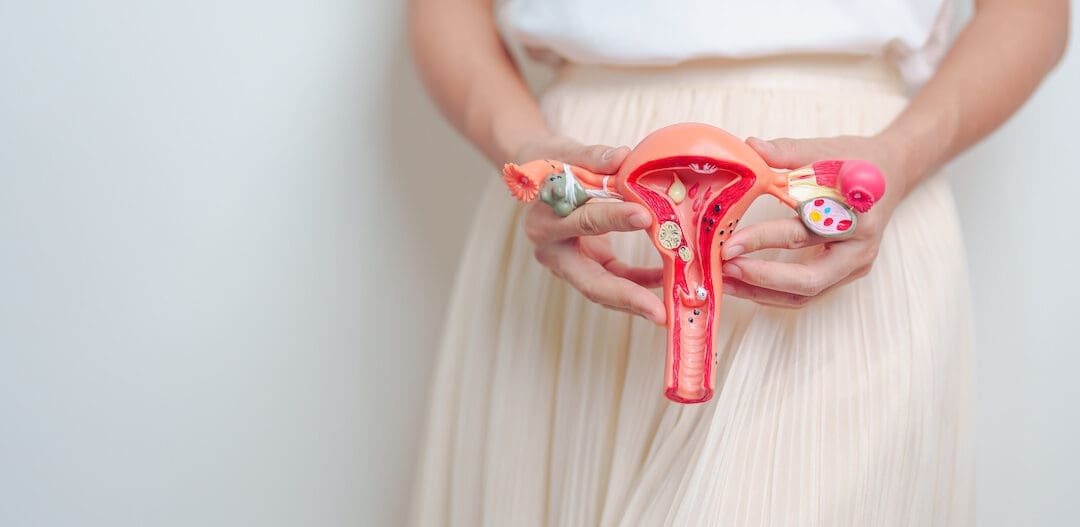 Reproductive health and your fertility