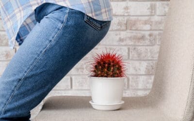 No silly questions: the Pain in the bum edition