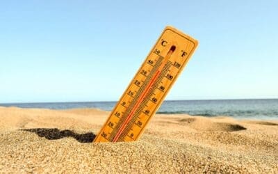 The health risks of a heat wave, explained