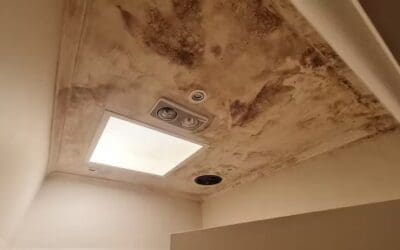 Why rental properties are more likely to be mouldy and what’s needed to stop people getting sick