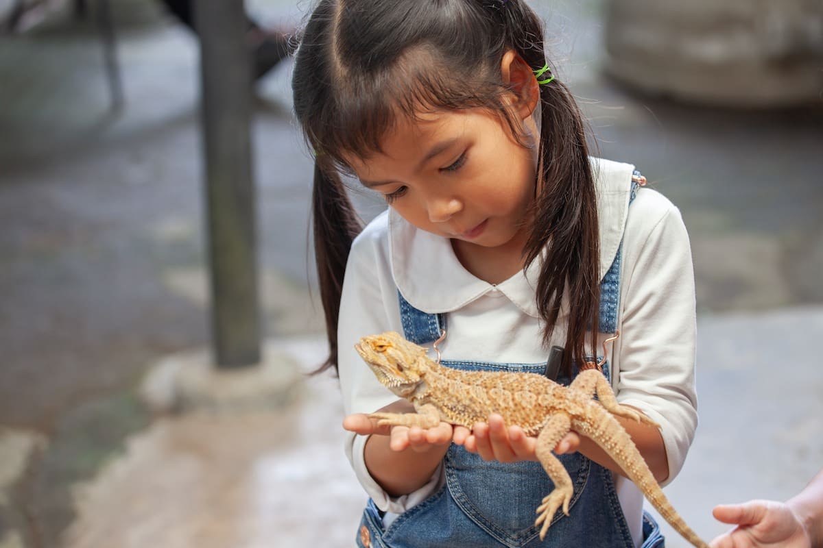 reptile food and asthma