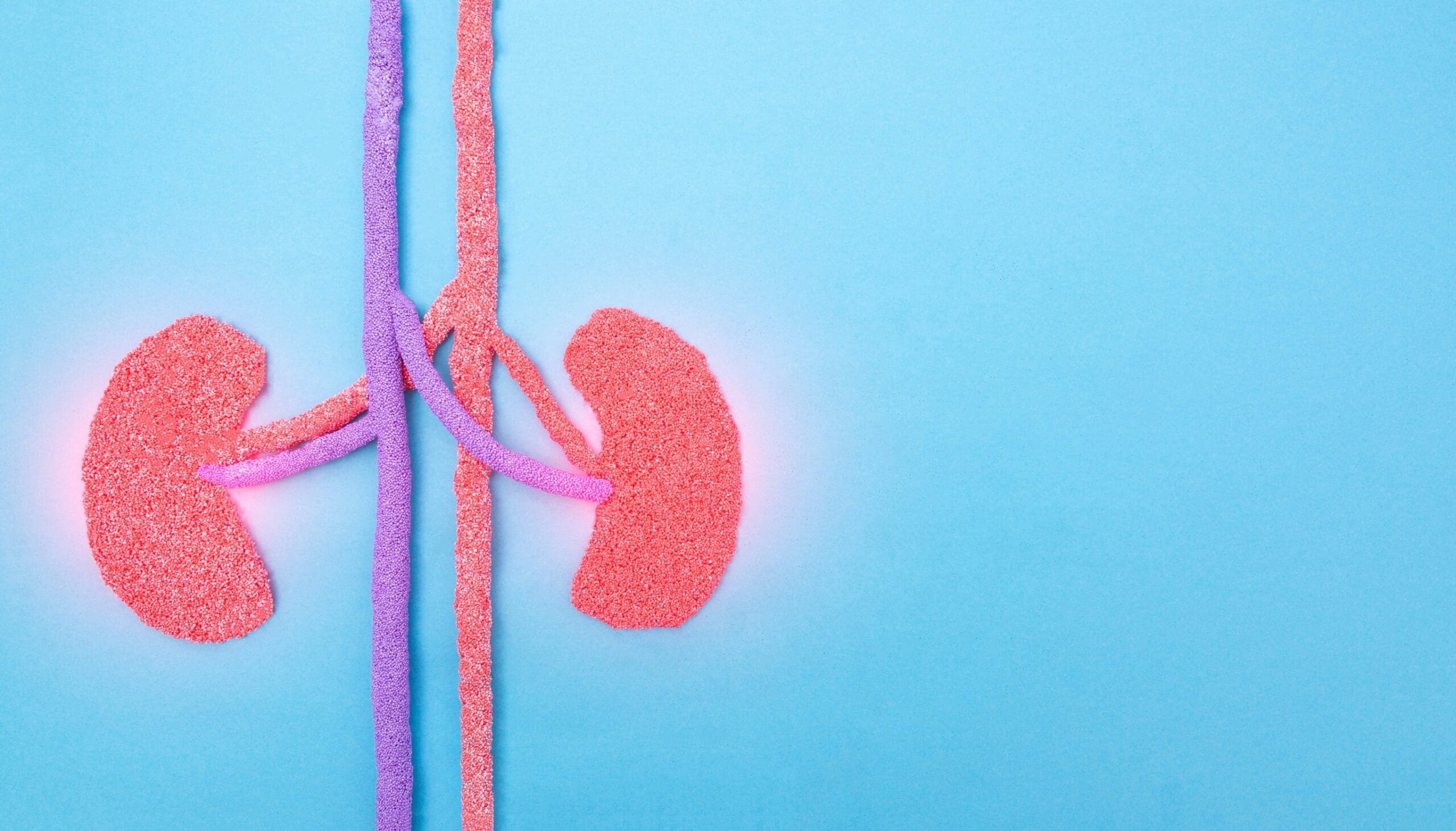 Chronic kidney disease Chronic kidney disease