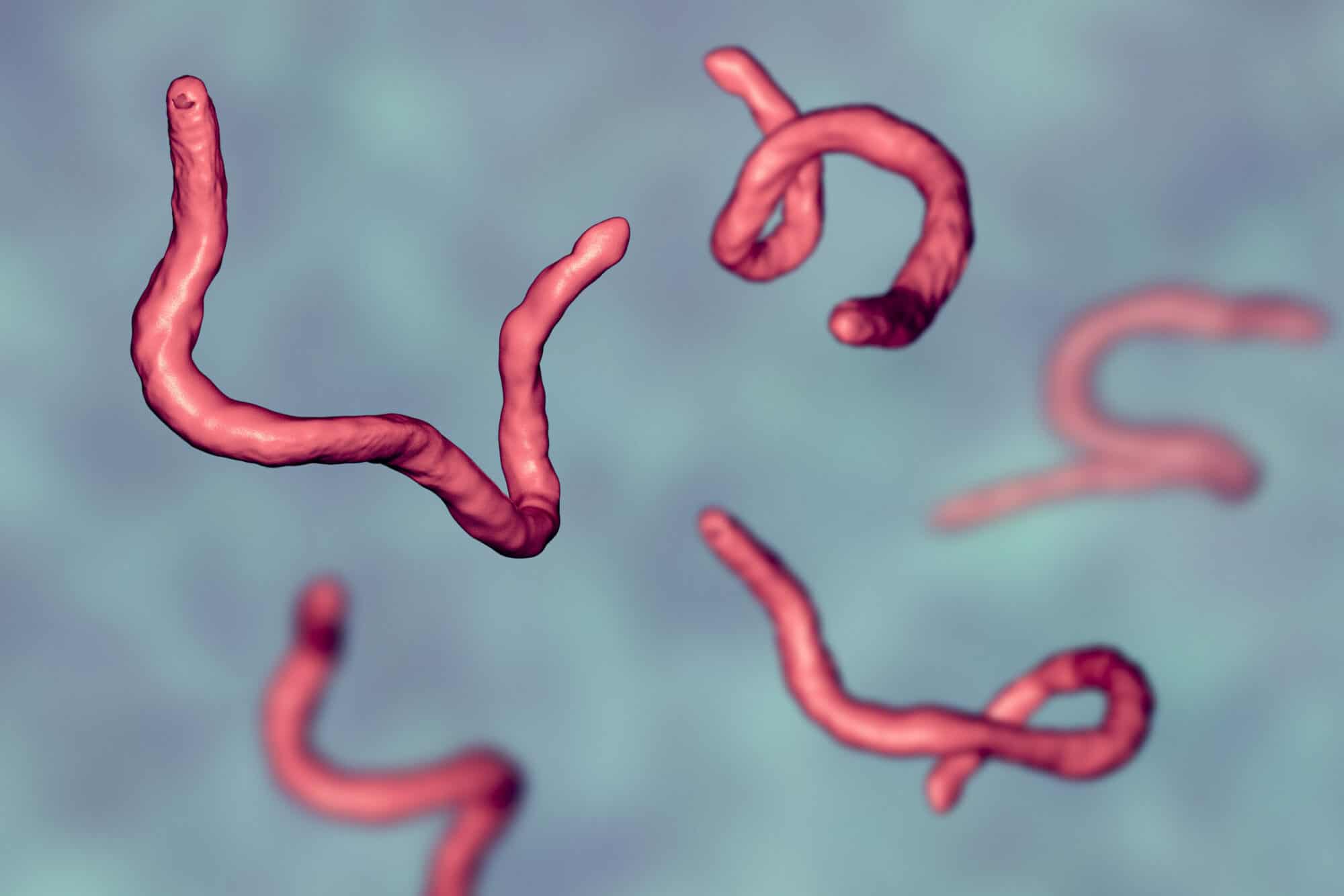 Squirming worm infection in foot