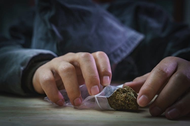 Cannabis: tolerance and dependence