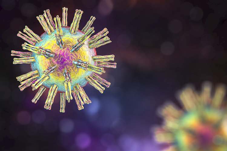 Genital herpes