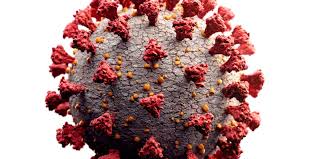 Autopsies show DVTs and pulmonary embolism in COVID-19 deaths