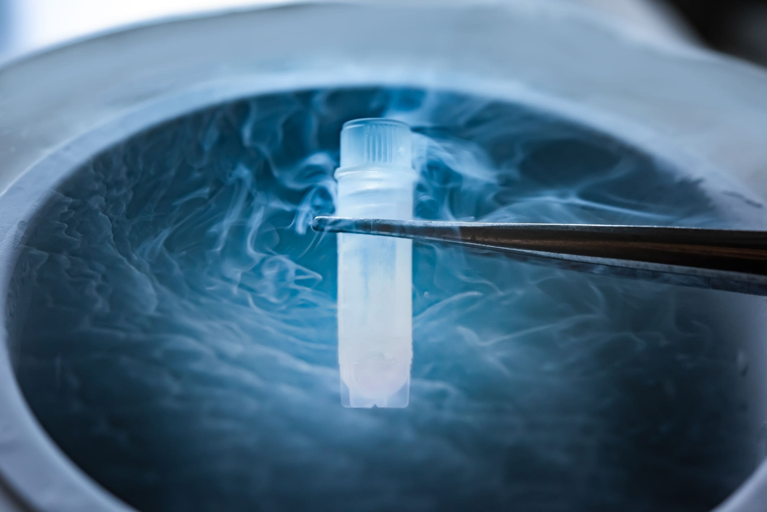 Freezing Eggs for Medical Reasons – Dr. Jenny Cook
