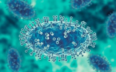 Monkeypox: The Facts